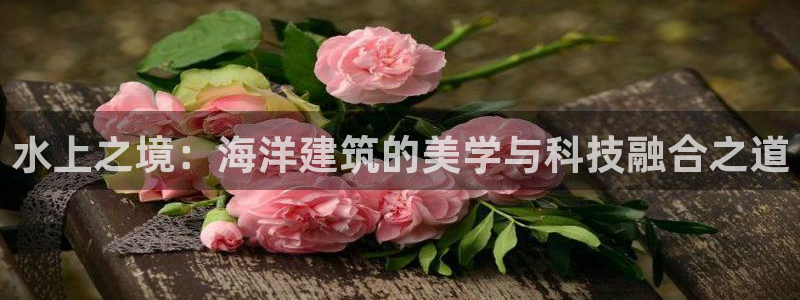 意昂体育3平台是正规平台吗知乎：水上之境：海洋建筑的美学与科技融合之道