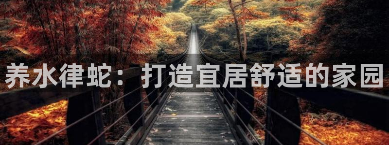 意昂3娱乐是那个系列的台子：养水律蛇：打造宜居舒适的家园