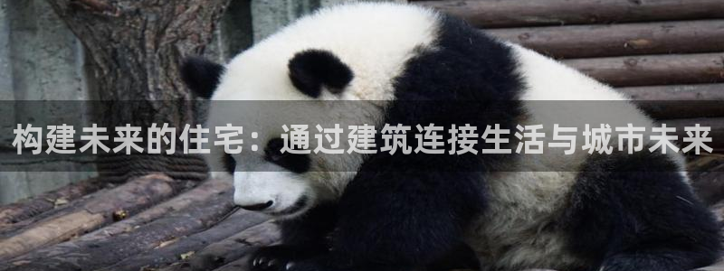 意昂体育3平台APP：构建未来的住宅：通过建筑连接生活与城市未来