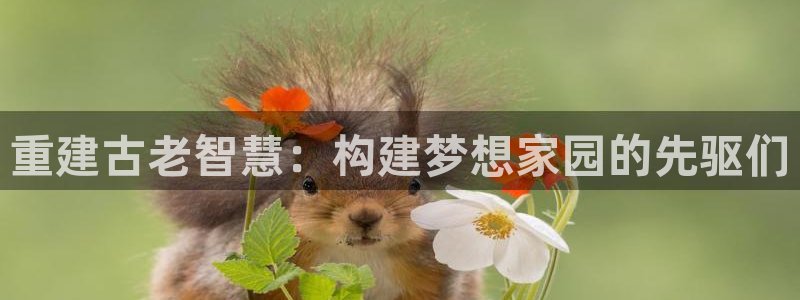 意昂3娱乐首页网站大全