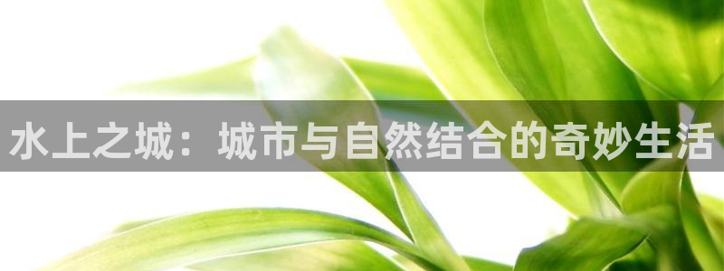 意昂3集团官网网址：水上之城：城市与自然结合的奇妙生活