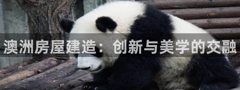 意昂体育3平台注册：澳洲房屋建造：创新与美学的交融