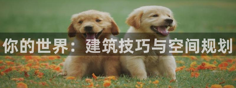 意昂3娱乐是那个系列的台子：你的世界：建筑技巧与空间规划