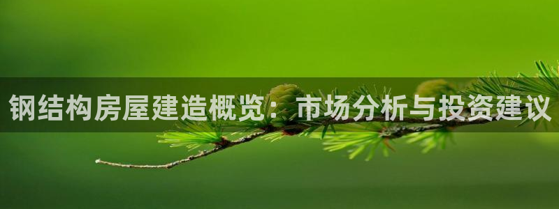 意昂体育3平台：钢结构房屋建造概览：市场分析与投资建议