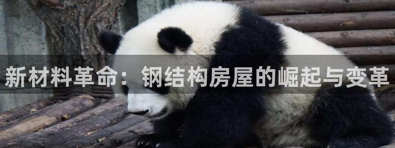 意昂3娱乐平台：新材料革命：钢结构房屋的崛起与变革