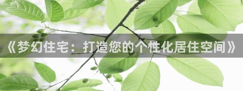 意昂3代理：《梦幻住宅：打造您的个性化居住空间》