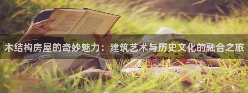 意昂3娱乐网站：木结构房屋的奇妙魅力：建筑艺术与历史文化的融合之旅