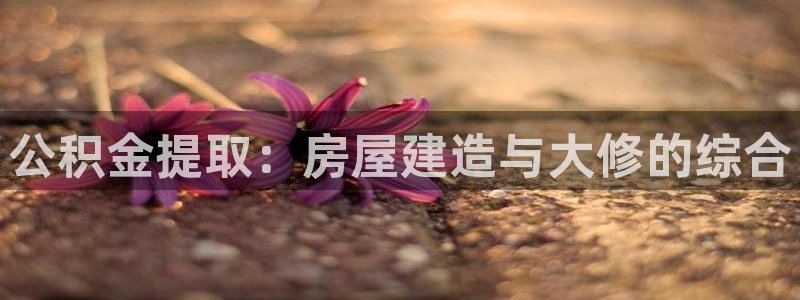 意昂3娱乐网站：公积金提取：房屋建造与大修的综合