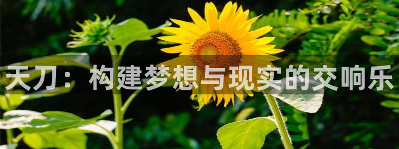 意昂3娱乐：天刀：构建梦想与现实的交响乐