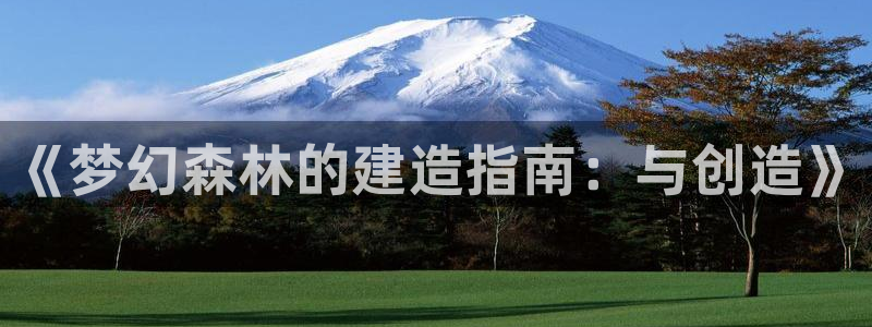 意昂3娱乐网站：《梦幻森林的建造指南：与创造》