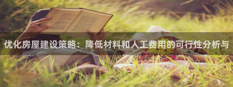 意昂3娱乐网站：优化房屋建设策略：降低材料和人工费用的可行性分析与