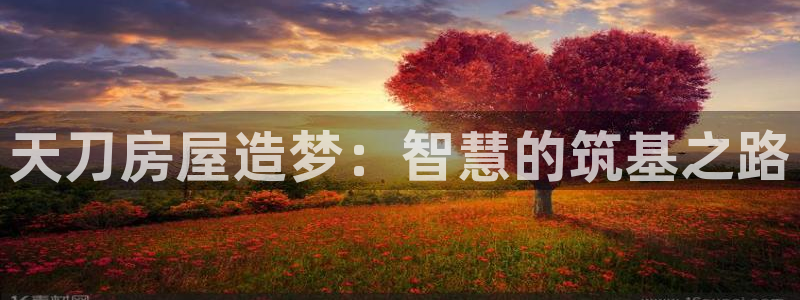 意昂体育3招商电话号码是多少啊：天刀房屋造梦：智慧的筑基之路