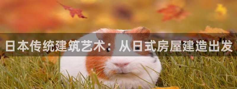 意昂3官方：日本传统建筑艺术：从日式房屋建造出发