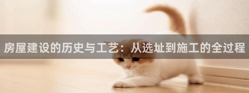 意昂体育3开户：房屋建设的历史与工艺：从选址到施工的全过程