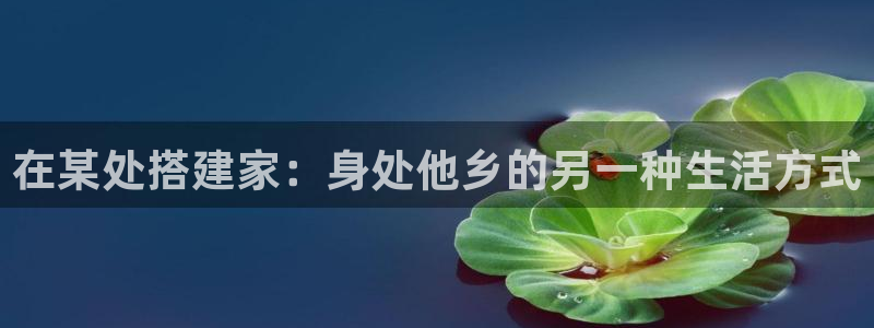 意昂体育3招商电话：在某处搭建家：身处他乡的另一种生活方式