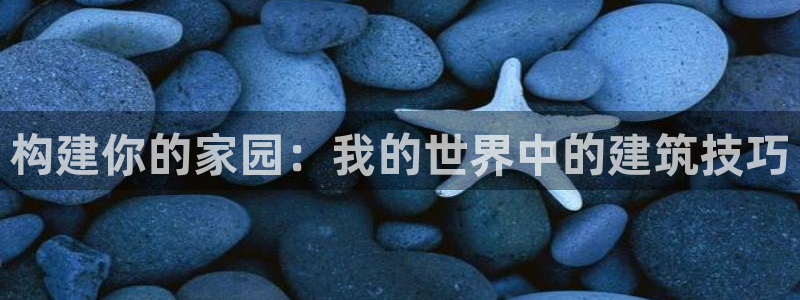 意昂体育3联系电话：构建你的家园：我的世界中的建筑技巧