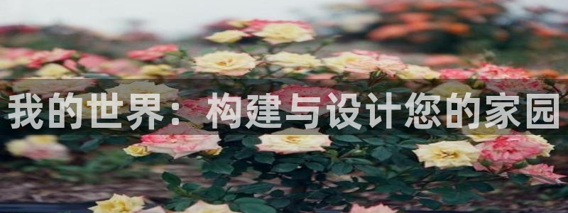 意昂体育3：我的世界：构建与设计您的家园