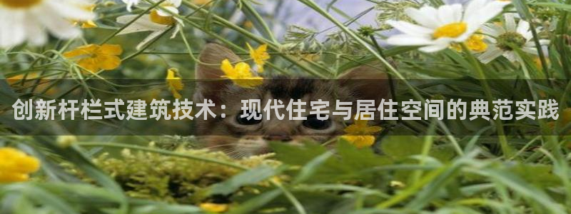 意昂体育3招商电话是多少：创新杆栏式建筑技术：现代住宅与居住空间的典范实践
