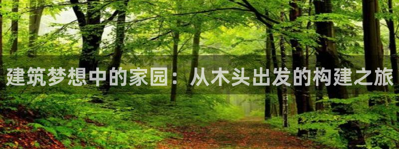 意昂3集团官网首页网址：建筑梦想中的家园：从木头出发的构建之旅