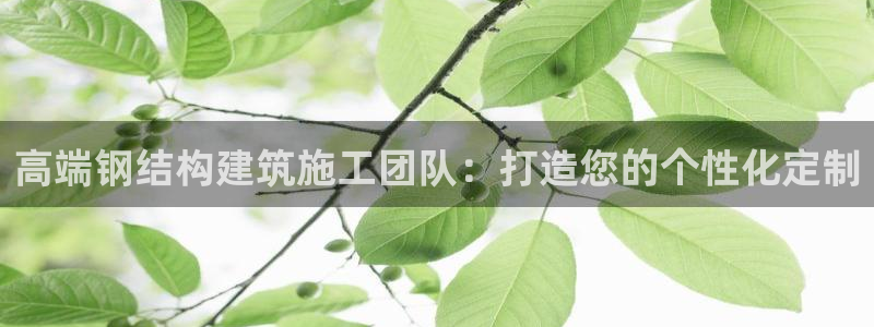 意昂体育3平台注册要钱吗：高端钢结构建筑施工团队：打造您的个性化定制
