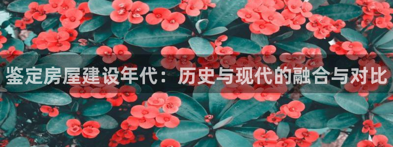 意昂体育3招商电话号码查询是多少：鉴定房屋建设年代：历史与现代的融合与对比