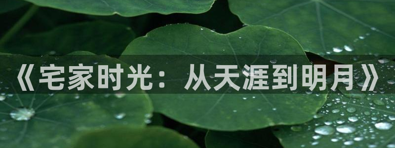意昂平台体育：《宅家时光：从天涯到明月》