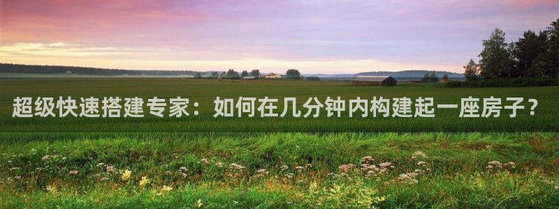 意昂3集团官网网址：超级快速搭建专家：如何在几分钟内构建起一座房子？