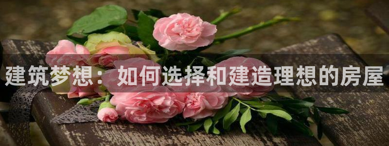 意昂平台体育：建筑梦想：如何选择和建造理想的房屋
