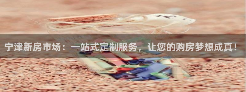 意昂体育3招商电话是多少：宁津新房市场：一站式定制服务，让您的购房梦想成真！