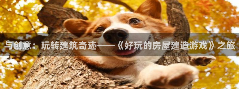 海南意昂体育3发展怎么样：与创意：玩转建筑奇迹——《好玩的房屋建造游戏》之旅