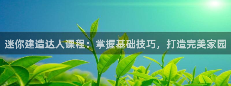 海南意昂体育3发展怎么样：迷你建造达人课程：掌握基础技巧，打造完美家园