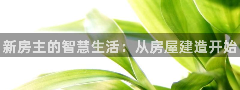 意昂体育3平台假的吗是真的吗吗：新房主的智慧生活：从房屋建造开始