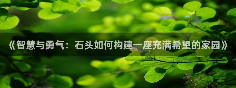 意昂体育3：《智慧与勇气：石头如何构建一座充满希望的家园》