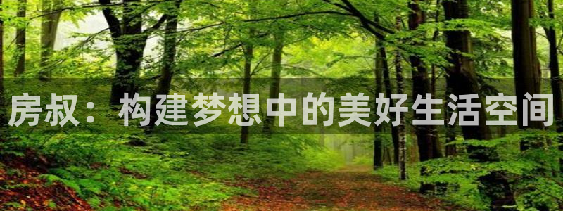 意昂3新能源：房叔：构建梦想中的美好生活空间