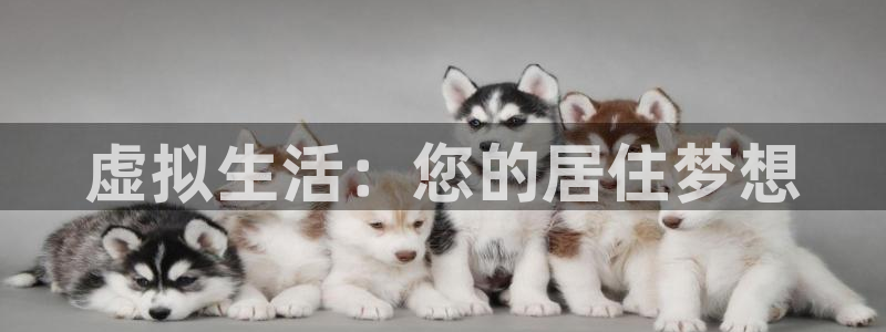 意昂体育3联系电话：虚拟生活：您的居住梦想