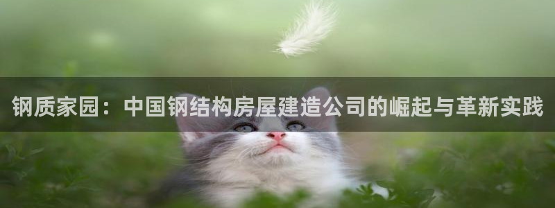 意昂体育3平台是正规平台吗：钢质家园：中国钢结构房屋建造公司的崛起与革新实践