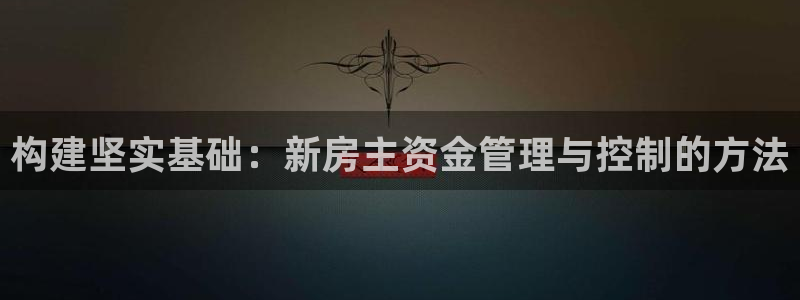 意昂3集团官网首页网址：构建坚实基础：新房主资金管理与控制的方法