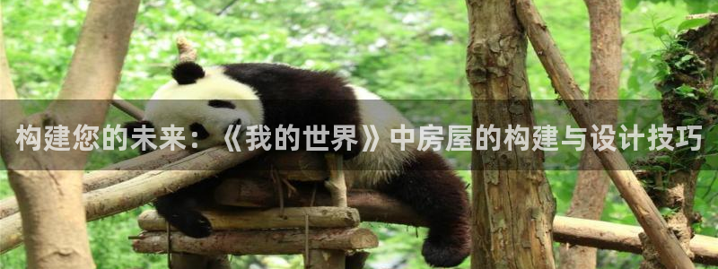 意昂3娱乐：构建您的未来：《我的世界》中房屋的构建与设计技巧
