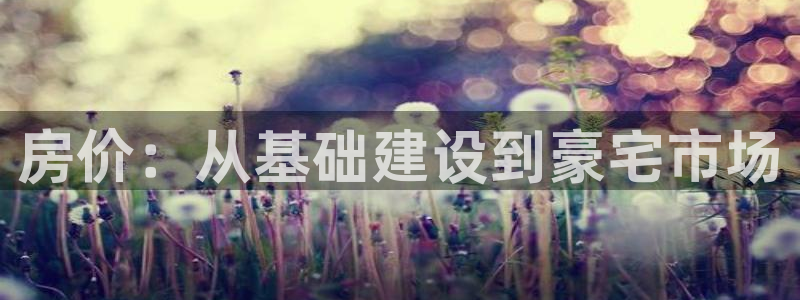 意昂体育3平台是正规平台吗知乎：房价：从基础建设到豪宅市场