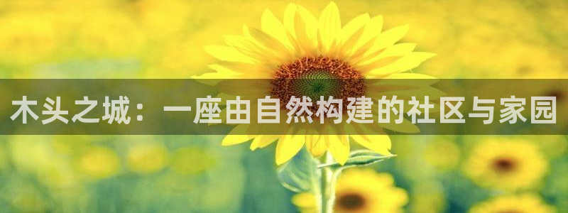 意昂3新能源：木头之城：一座由自然构建的社区与家园